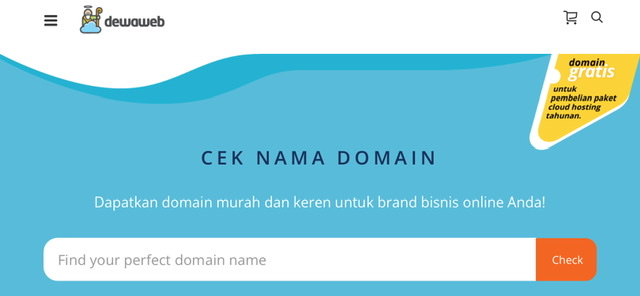 Tampilan cek nama domain
